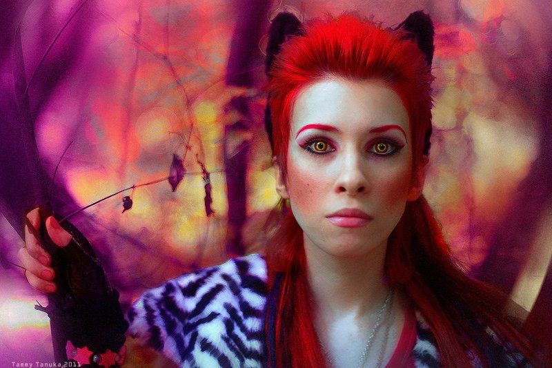 Enchanted forestphoto preview