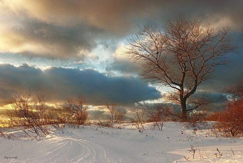 Снежное свежееphoto preview