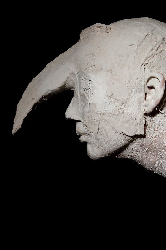 мрачно как всегда, голова, грудь, клюв, женщина,  photo preview