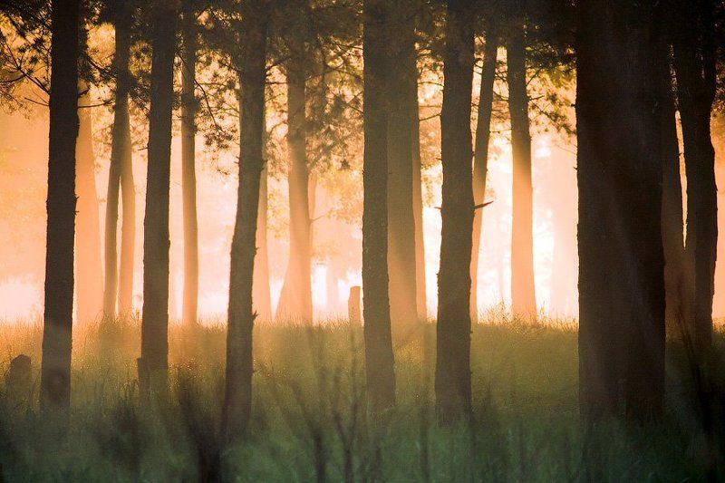 унеча, брянск, рассвет, россия photo preview