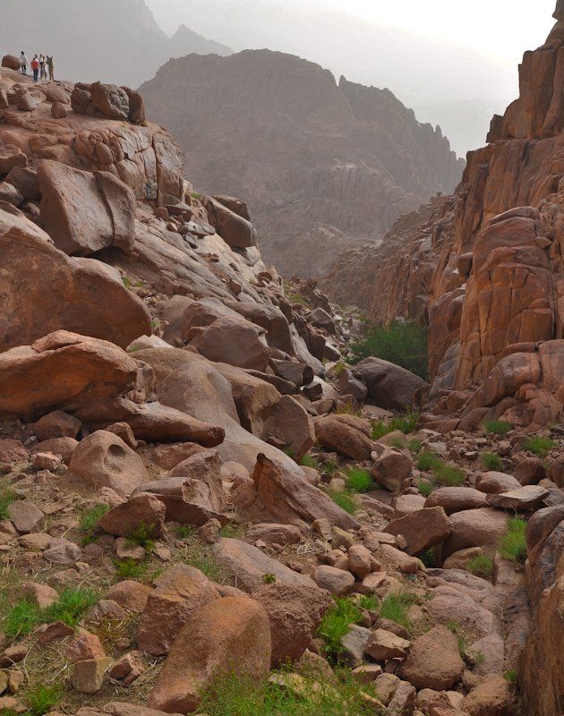 горы photo preview