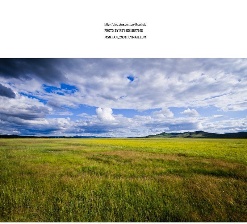 пастбища photo preview