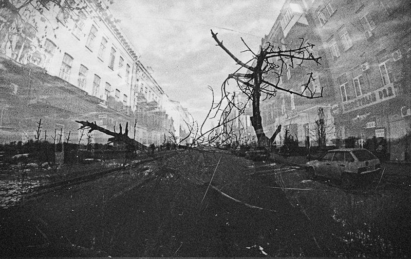 фишай, машина, деревья, дорога, город, пленка, мультиэкспозиция 2 города / 2 судьбыphoto preview