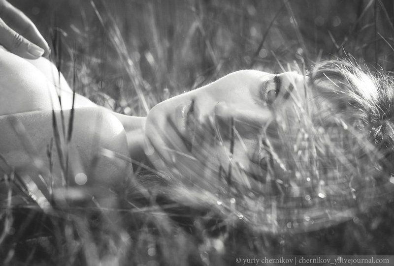 девушка, паутина, портрет photo preview