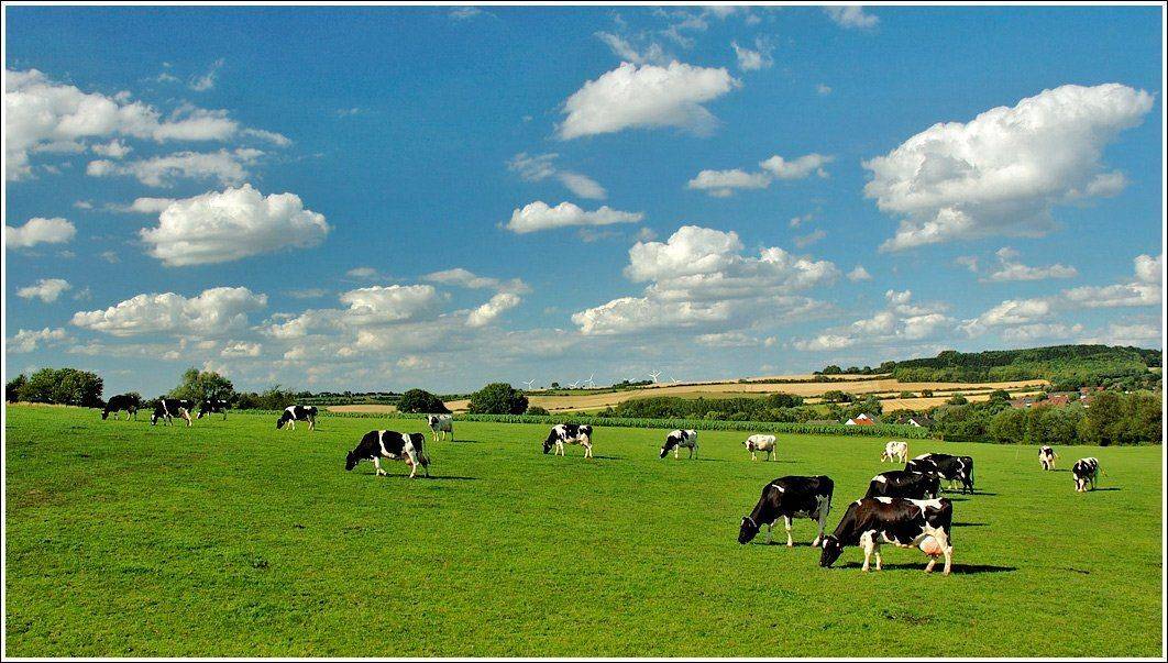 , Борис Алабугин