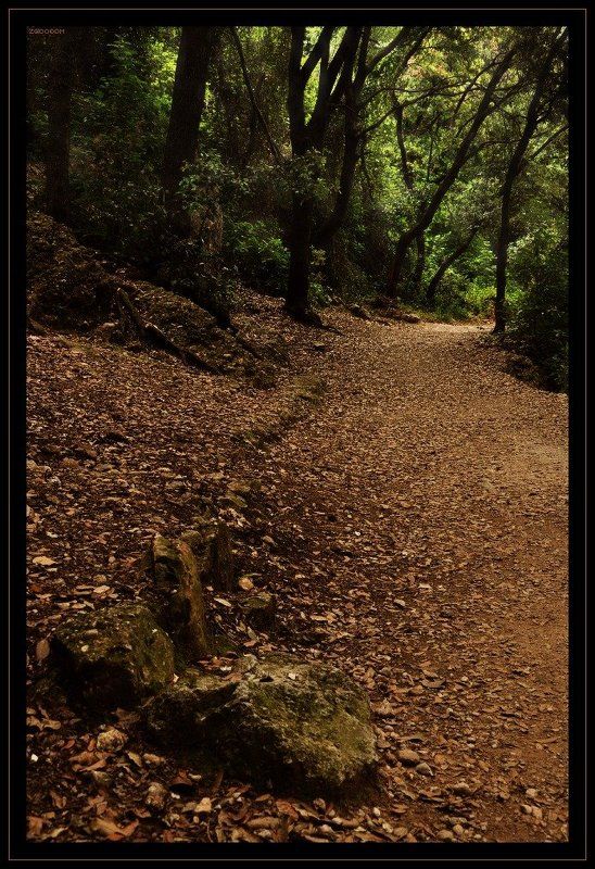 испания, каталония, монастырь, монсеррат photo preview