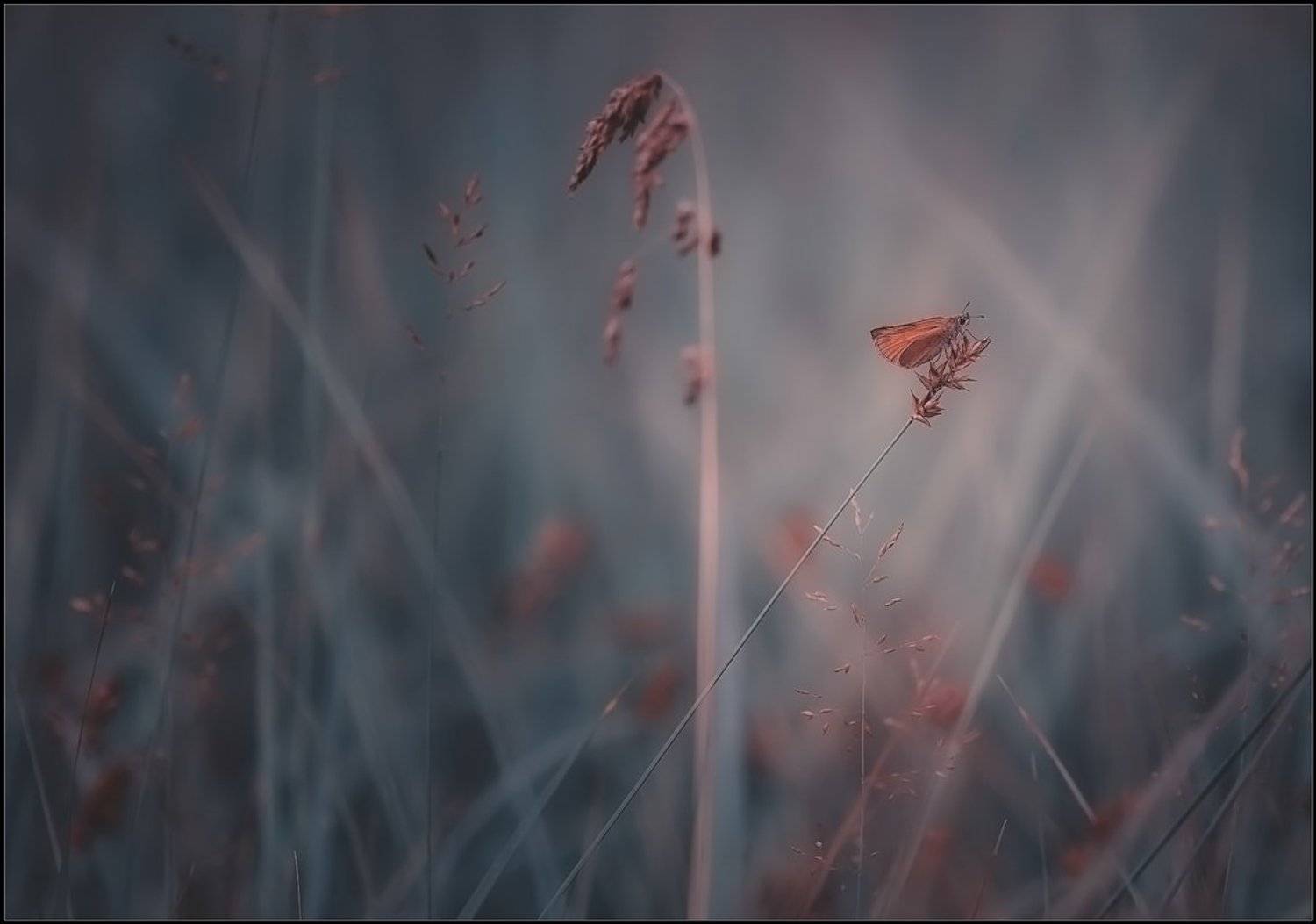 Автор: Евгений Кирилкин. , Евгений Кирилкин.