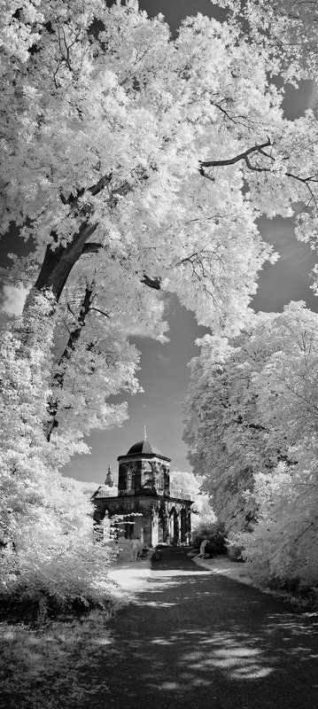 cecilienhof, infrared, neuer garten, potsdam, marmorpalais, gotische bibliothek, парк, дворец, потсдам, геримания photo preview