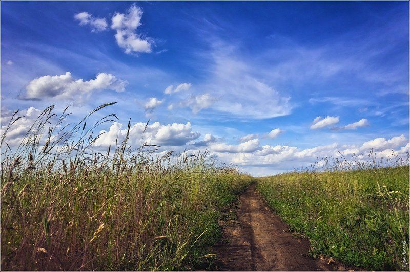 пейзаж, поле, тропинка, небо, облака Безыдейный пейзаж или что там за горизонтом...photo preview