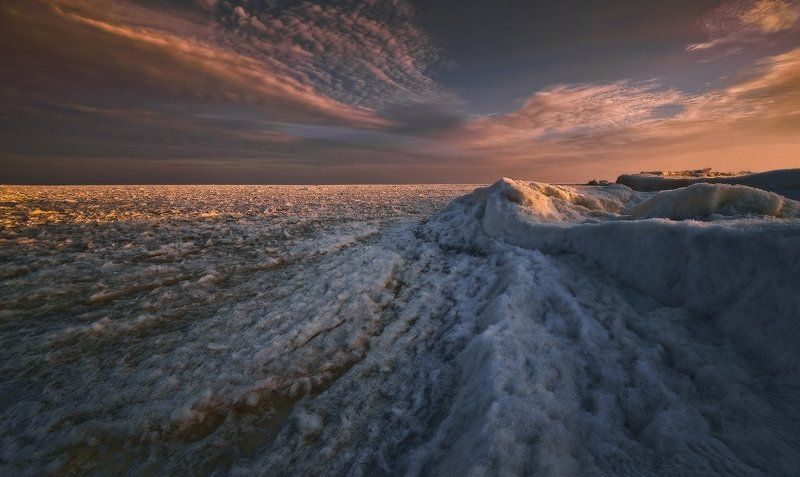 В последних лучах уходящего дняphoto preview