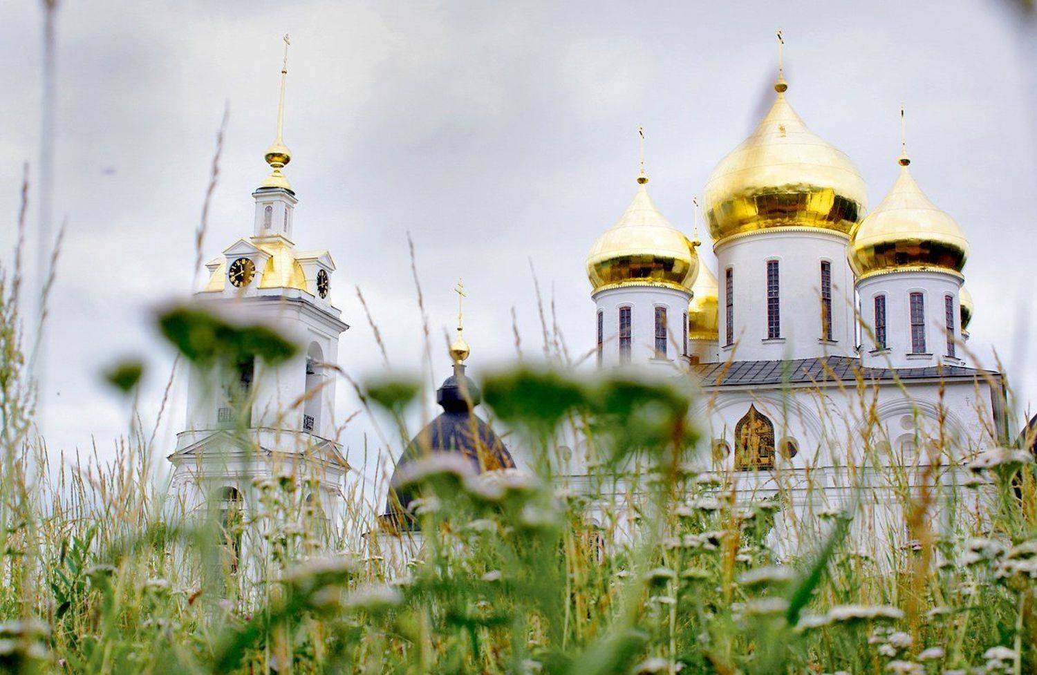 собор, дмитров, храм, церковь, лето, Mazanov Vitaly