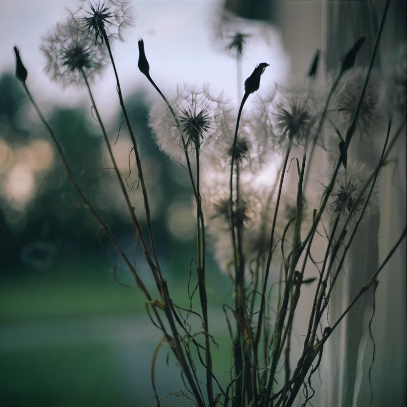 porta 160 nc, kiev 60 photo preview