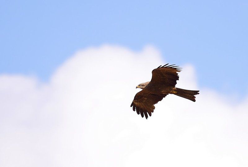 To the skyphoto preview