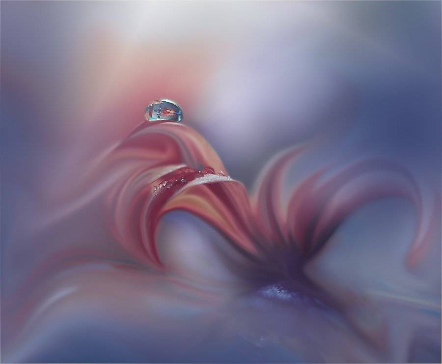 Автор: Juliana Nan , Juliana Nan