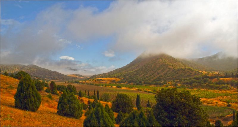 Веселая бухтаphoto preview