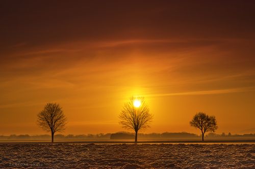 sun