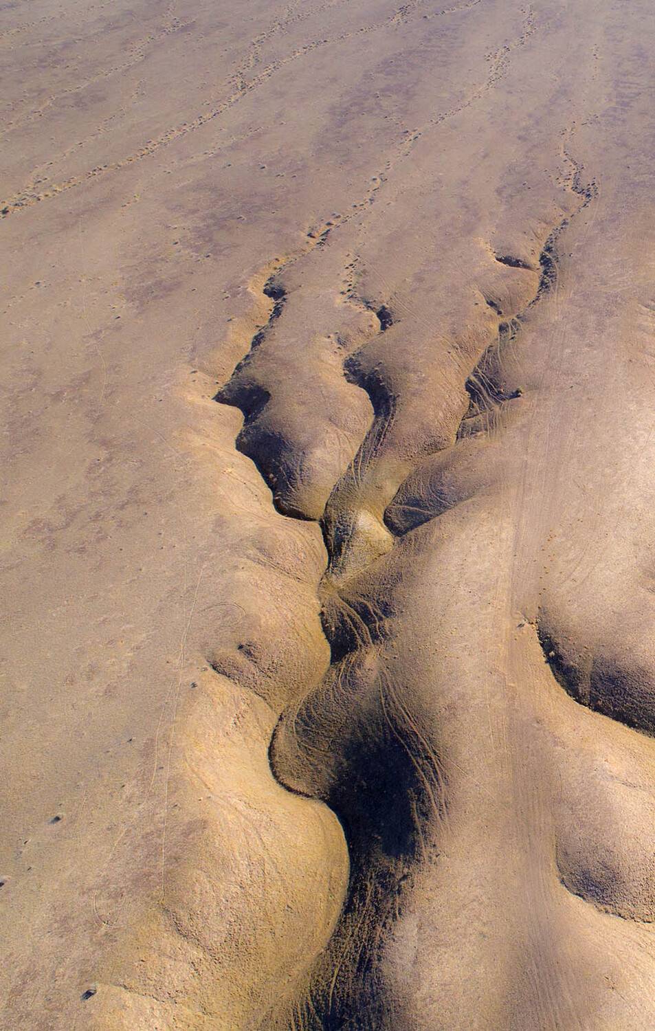дрон, коптер, аэро, aerial, Борис Резванцев