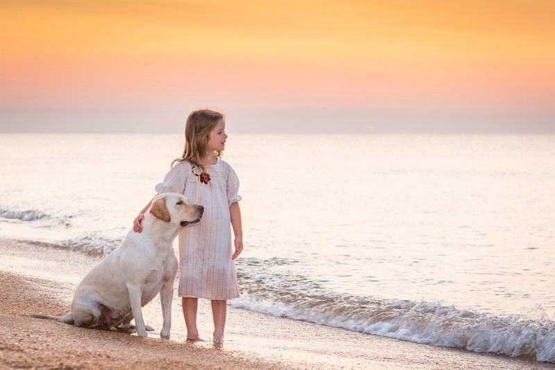 Соня и лабрадор Вспышкаphoto preview