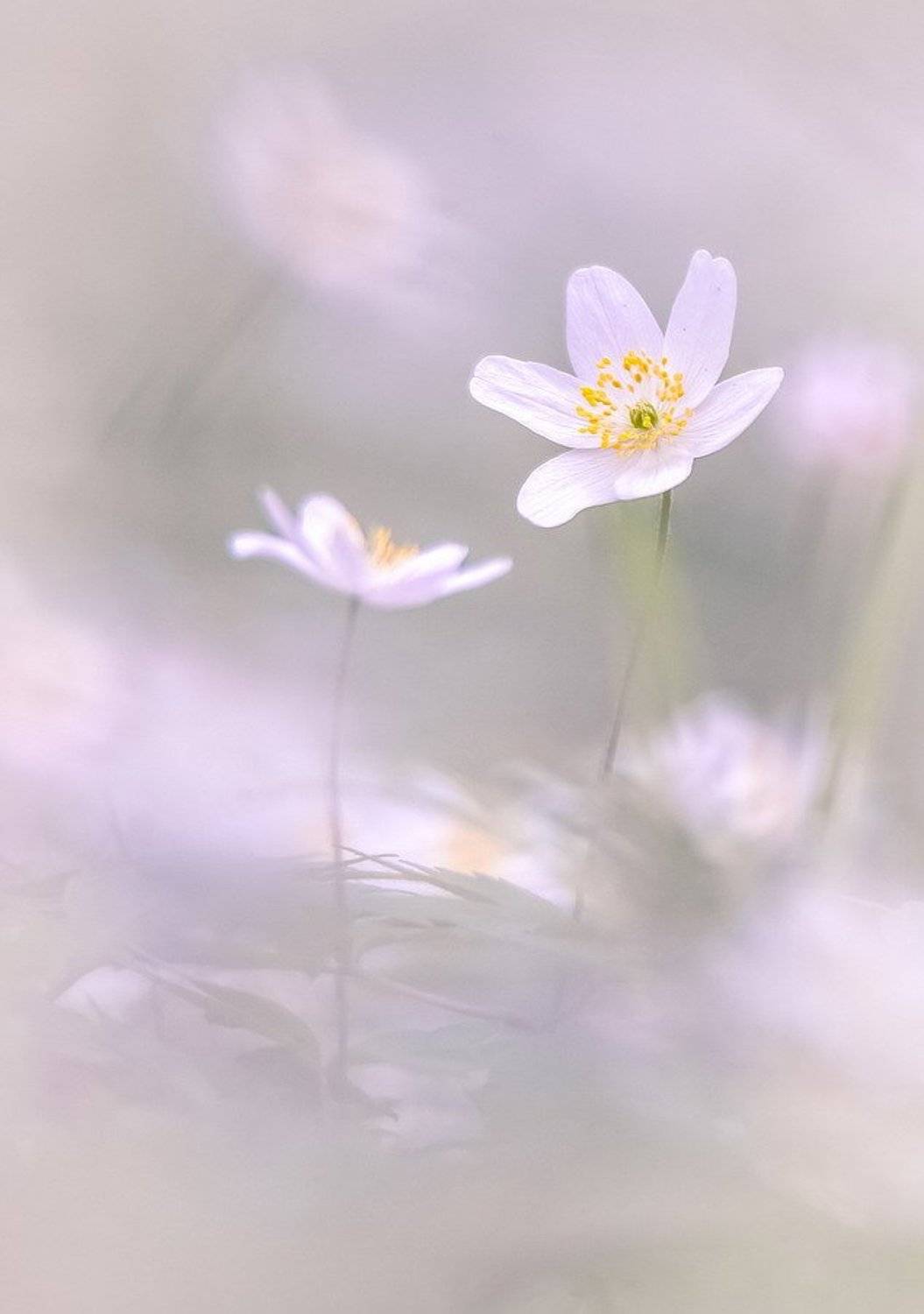 , Вячеслав Мищенко