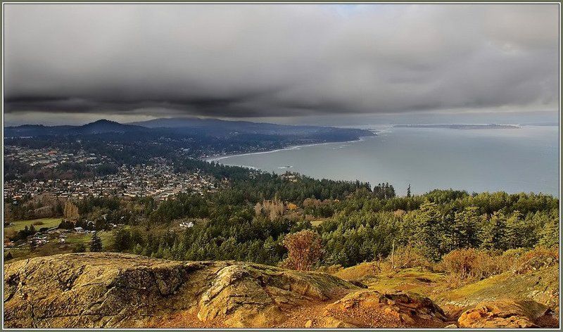канада, берег, ванкуверн, виктория, пролив, облака, деревья, прибой, острова Берег.photo preview