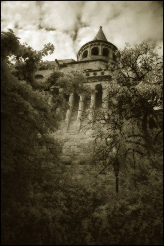 infrared венгрия infrared hungaryphoto preview