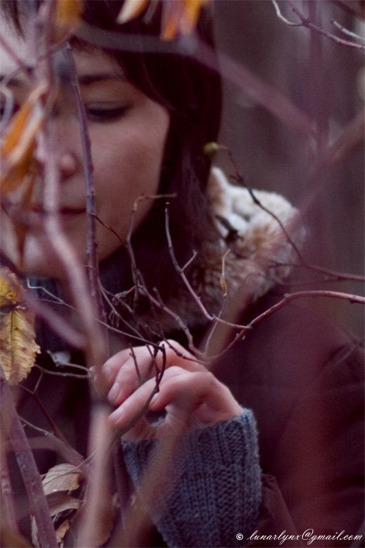 мысли ветви лиловый В ветвях моих мыслейphoto preview