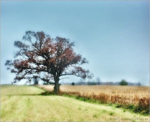 Harvest