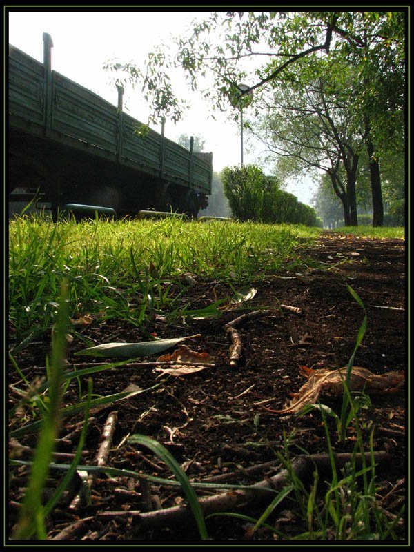 утро,парк,24ое лето:) Вспомнилось летнее утро.photo preview