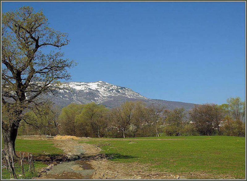 болгария, софия, гора, черни врых, весна, солнечный день, небо, деревья Кривая дорога на Черни Врых. Болгарияphoto preview
