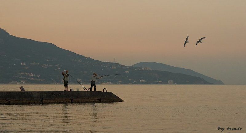 лето, крым, море, рыбалка, чайки, отпуск Дирижер и чайкиphoto preview