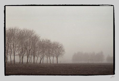 to be in a fog: dream