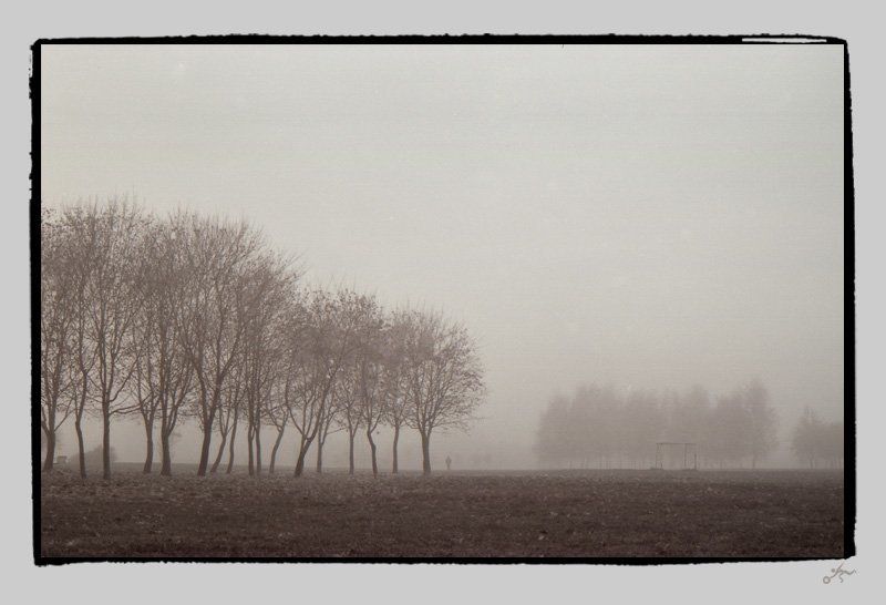 ч/б, пленка, пленка, ilford, туман, ноябрь, москва, ассоциации to be in a fog: dreamphoto preview