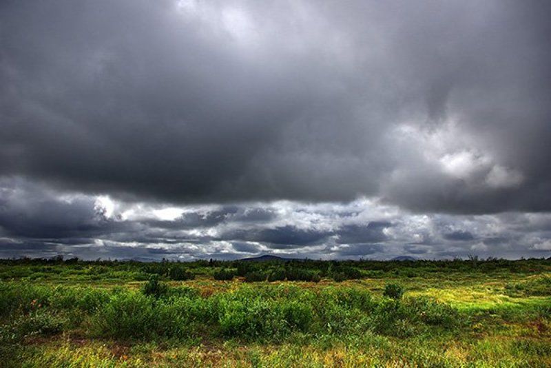 тундра, чукотка, марково Чукоткаphoto preview