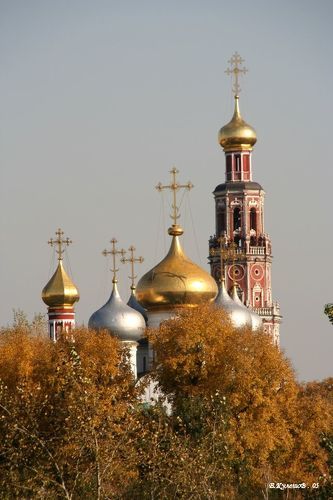 Золото Новодевичьего....