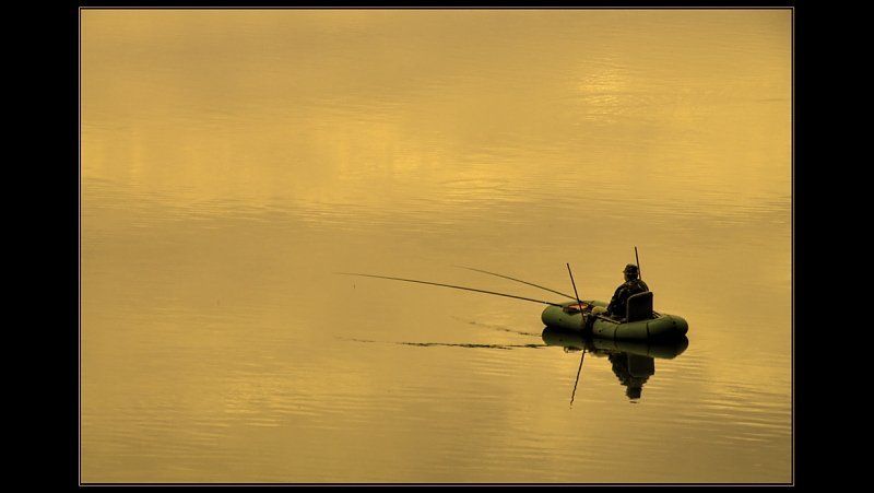 Ловец золотаphoto preview