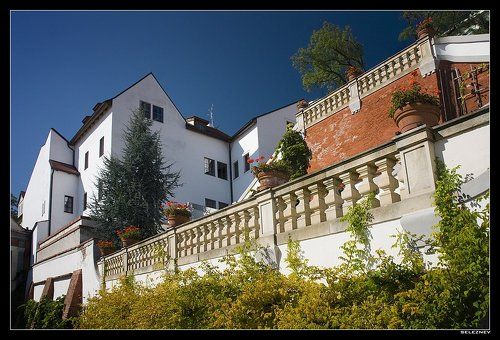 Prague #15