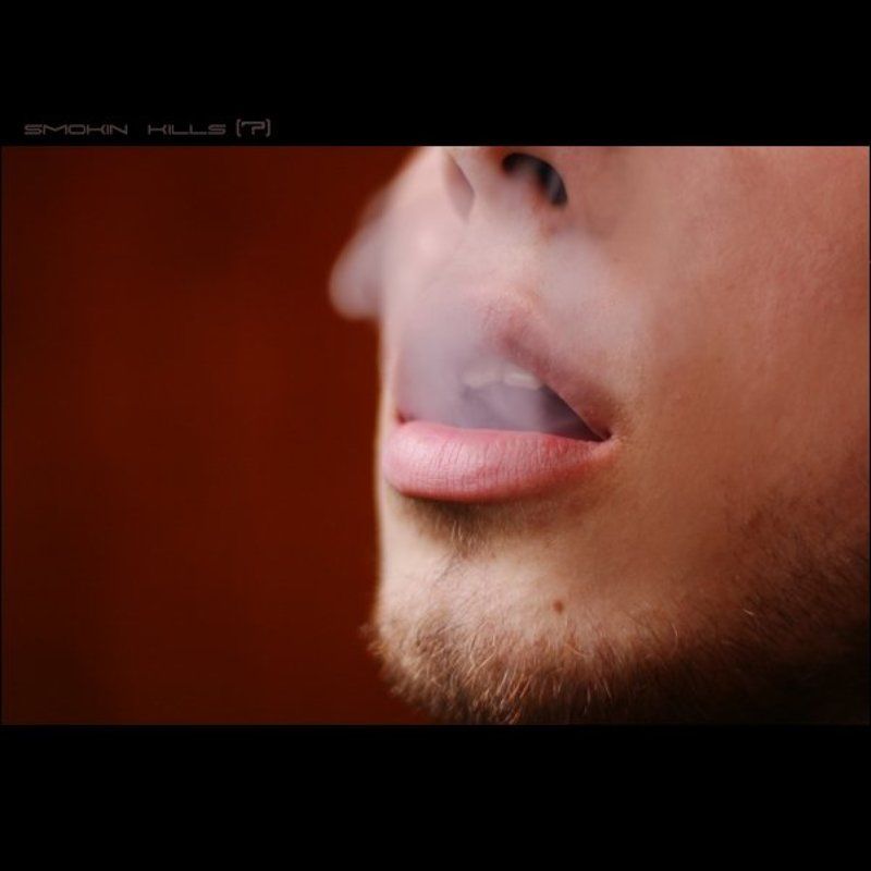 2 kill or not 2 killphoto preview