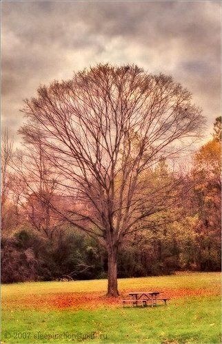 The Face of Autumn