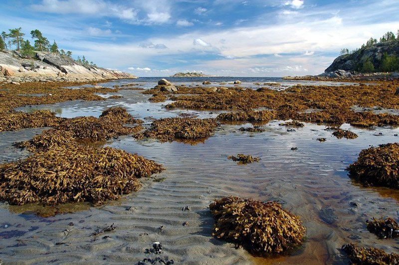 белое, море ***photo preview