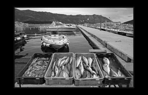 Дары моря