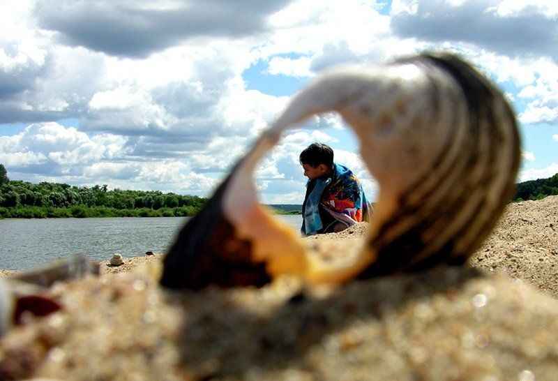 река, ракушка, лето,облака через ракушкуphoto preview