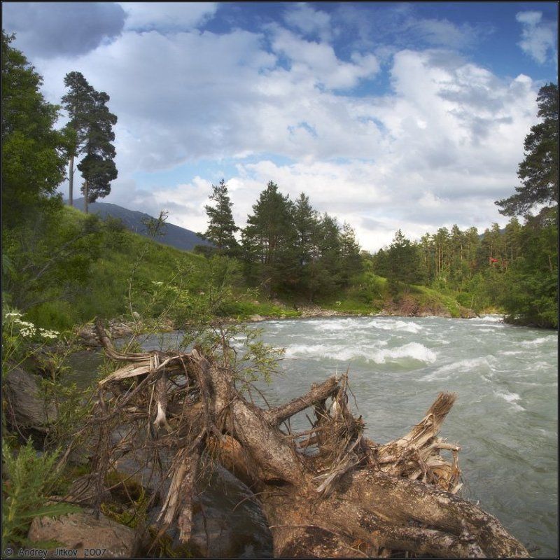 кавказ, архыз, лето, река, пейзаж У поселка Архызphoto preview