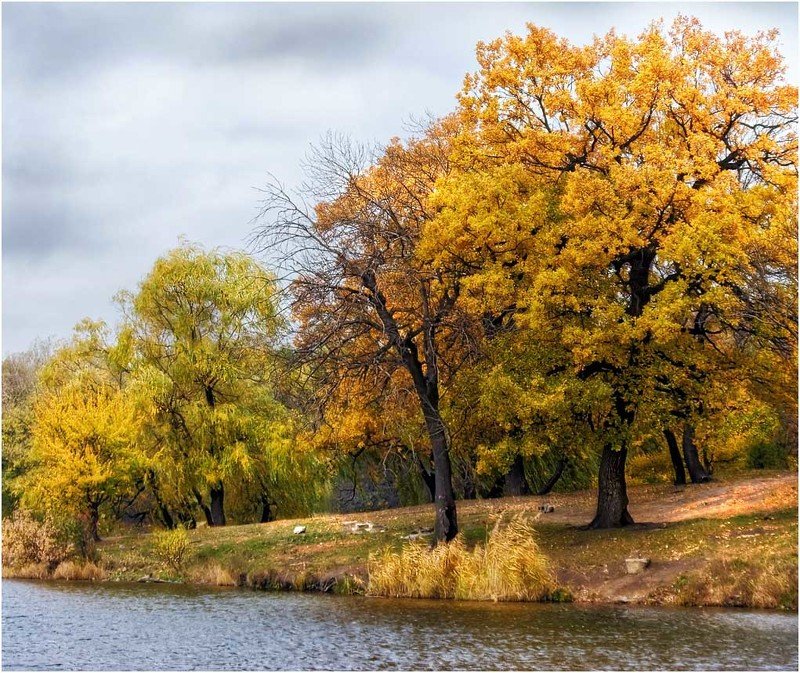 Пушкина, золотая осеньphoto preview