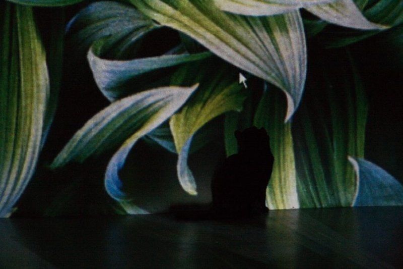 том, кот, джерри, компьютерный Том и компьютерный Джерриphoto preview