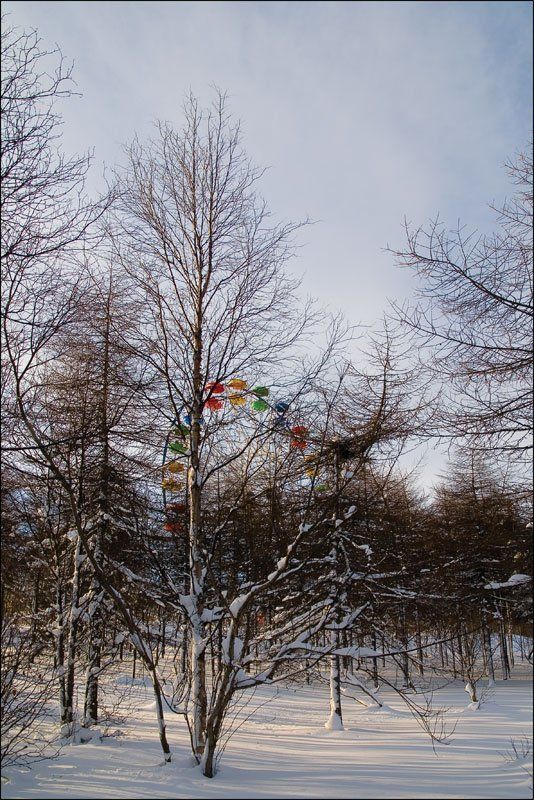 парк, колесо \