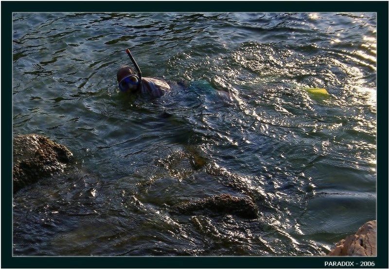 море,погружение,поздравление,дм.виноградов,paradox Погружение в день рождения Димы Виноградоваphoto preview