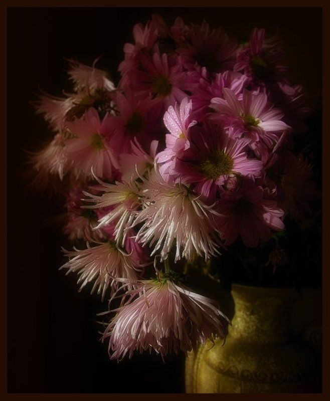 цветы ***photo preview