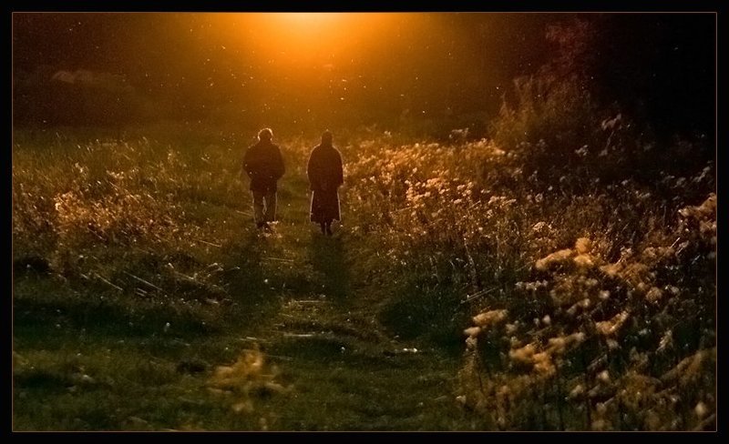 Вечерняя прогулкаphoto preview