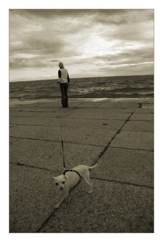 поводок, финский залив расстояниеphoto preview