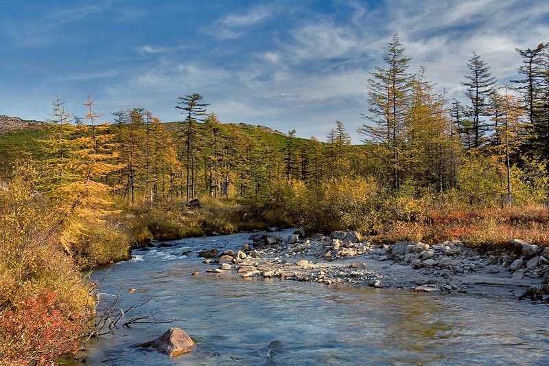 река лес осень магадан воспоминания об осени...photo preview